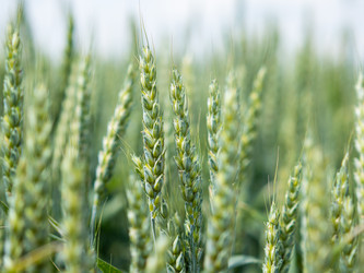 Similar image 21388486