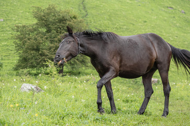 Similar image 21388487