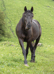 Similar image 21399575