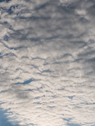 Similar image 21383865