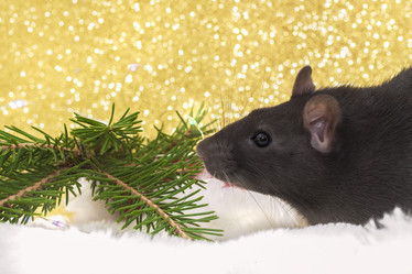 Similar image 21421620