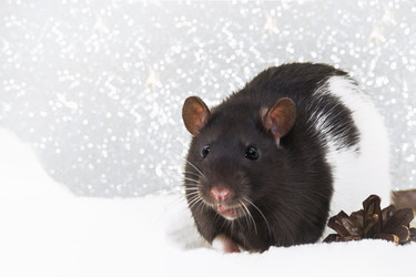 Similar image 21421621