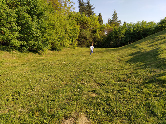 Similar image 21416761