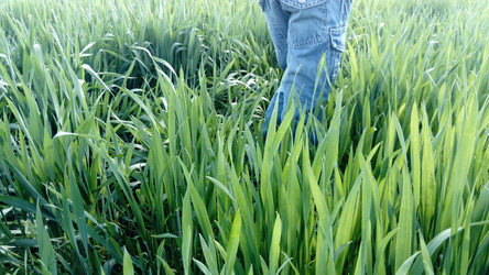 Similar image 21418287