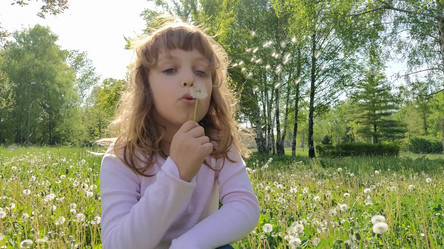 Similar image 21404237