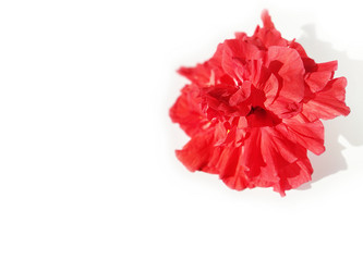 Similar image 21405350