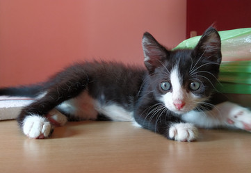 Similar image 21405351