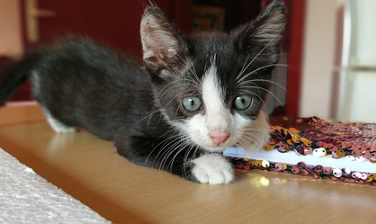 Similar image 21405352