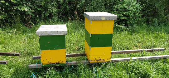 Similar image 21406235