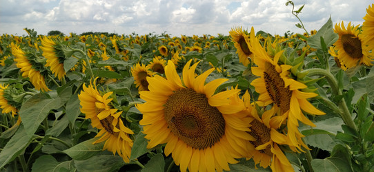 Similar image 21406237