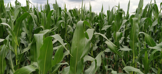 Similar image 21406238