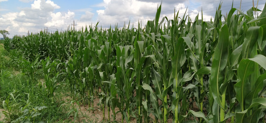 Similar image 21415457