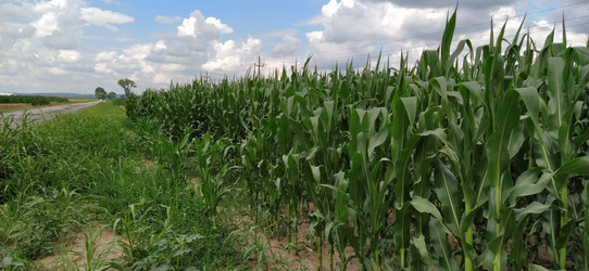 Similar image 21415458