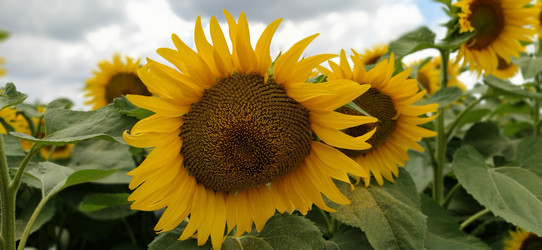 Similar image 21415465