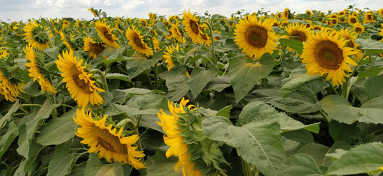 Similar image 21415469