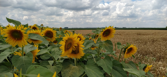 Similar image 21415478