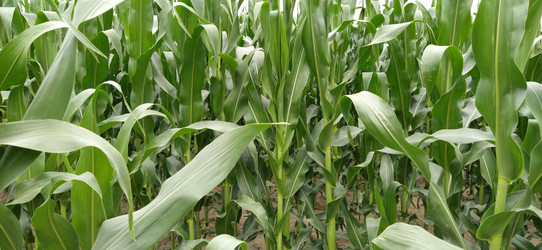 Similar image 21415479