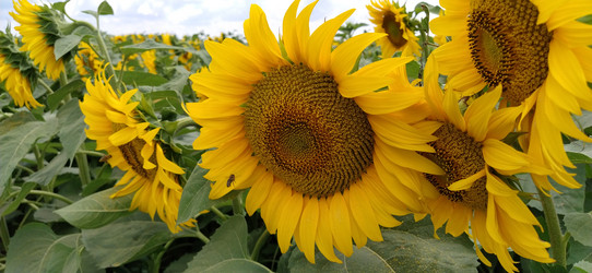 Similar image 21415482