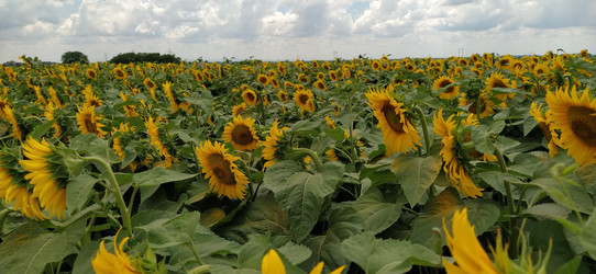 Similar image 21415490