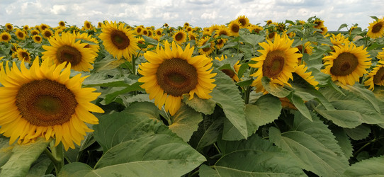 Similar image 21415493