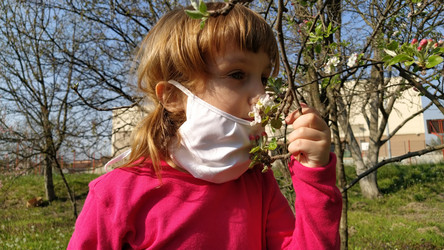 Similar image 21417453