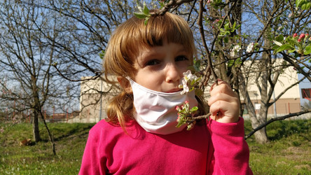 Similar image 21417454