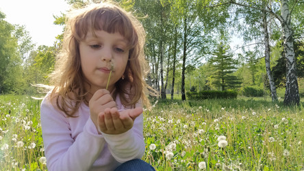 Similar image 21418015