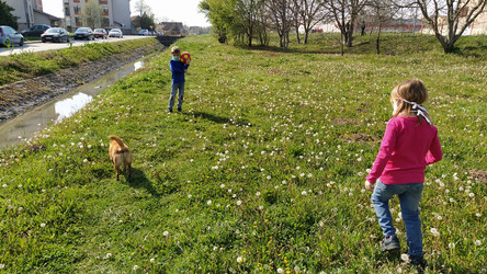 Similar image 21418018