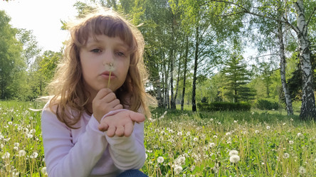 Similar image 21418019