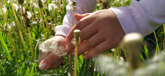 Similar image 21405357