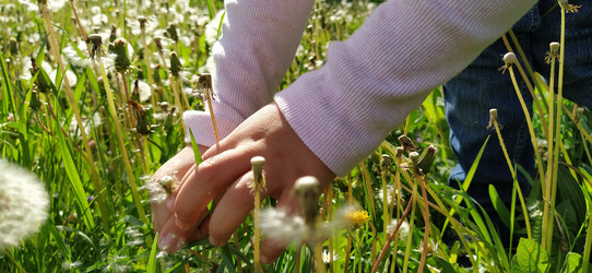 Similar image 21405358