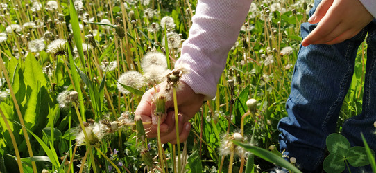 Similar image 21405359