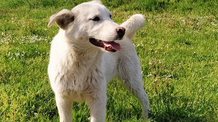 Similar image 21406241