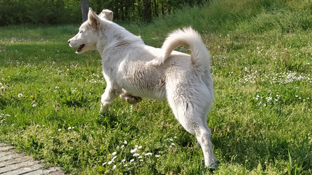 Similar image 21406242