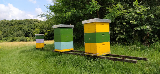 Similar image 21404425