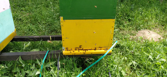 Similar image 21404426