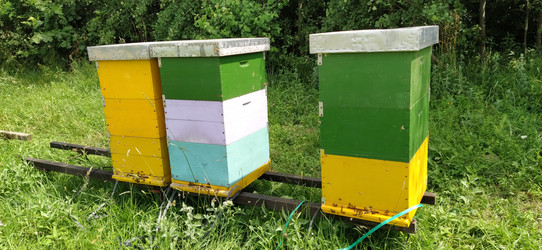 Similar image 21404427