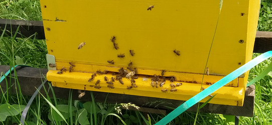 Similar image 21404428