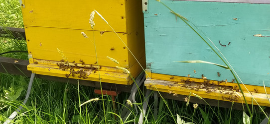 Similar image 21404429