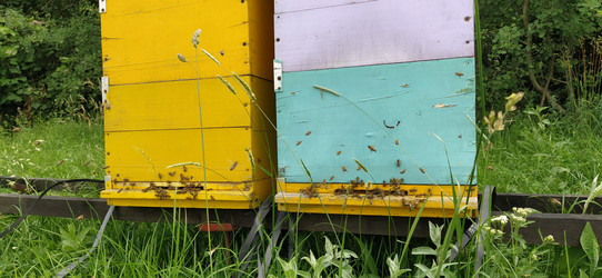 Similar image 21404430