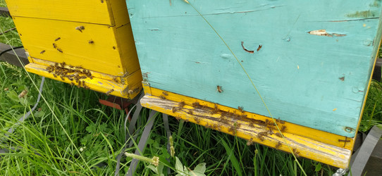 Similar image 21404431