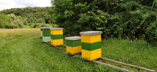 Similar image 21404432