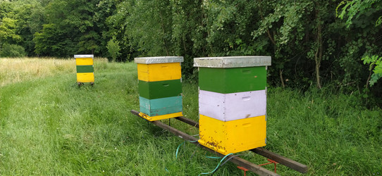 Similar image 21405210