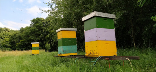 Similar image 21405376