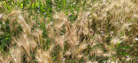 Similar image 21405378