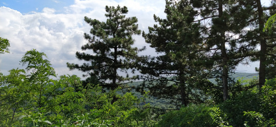 Similar image 21405379