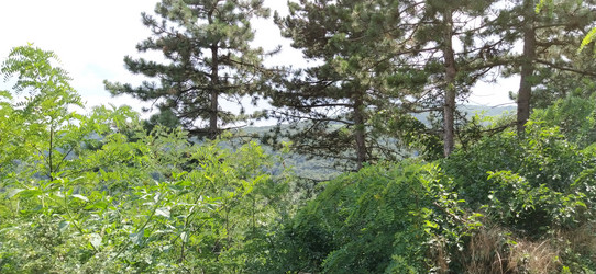 Similar image 21405380