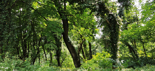 Similar image 21405381