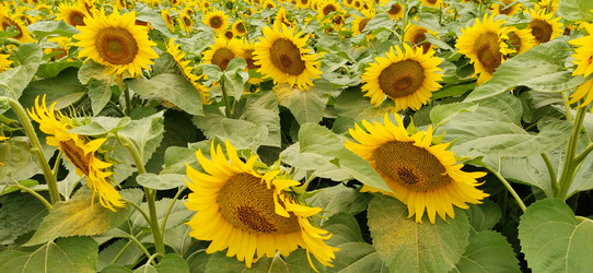 Similar image 21405389