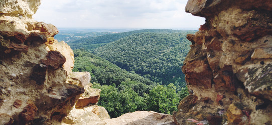 Similar image 21405690